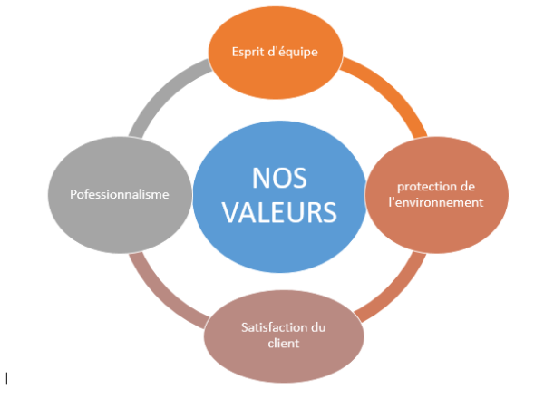 VALEURS. – DELVIC Sanitation Initiatives